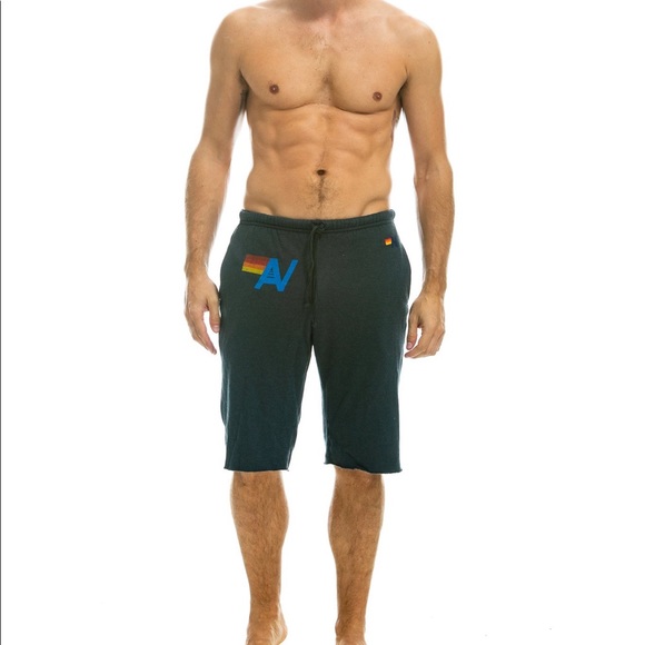 Aviator Nation Other - Aviator Nation Men’s Sweat Shorts in Charcoal